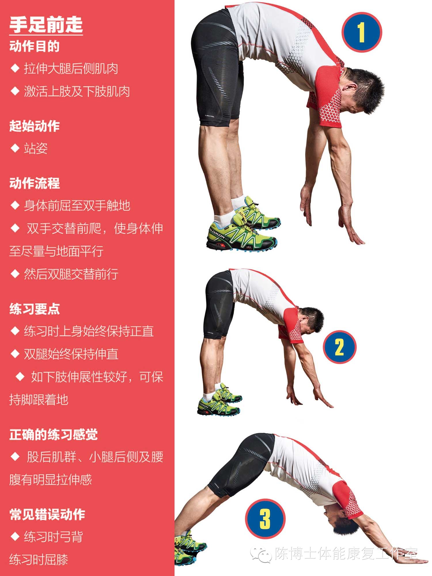 运动前肌肉激活