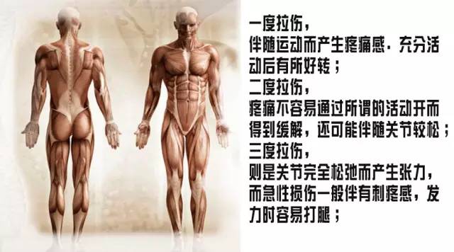 肌肉拉伤程度