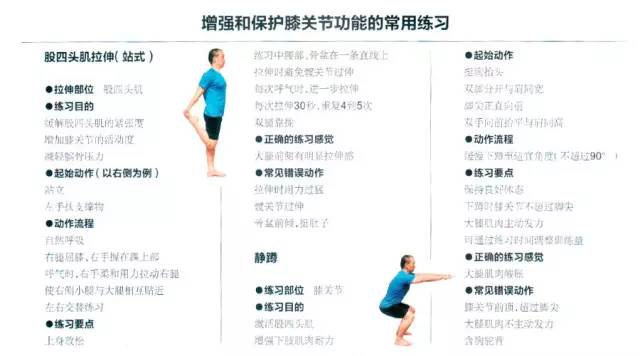 增强和保护膝关节的常用练习