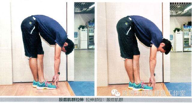 股后肌群拉伸