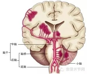 腿软4 (1)